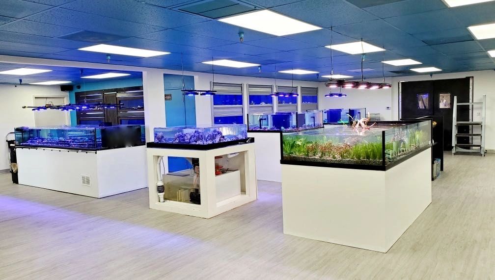 Aquarium Store Paradise Valley